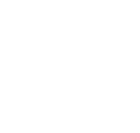 NHLPA Logo